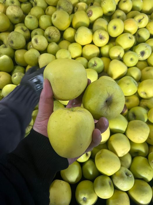 Mere       de      consum