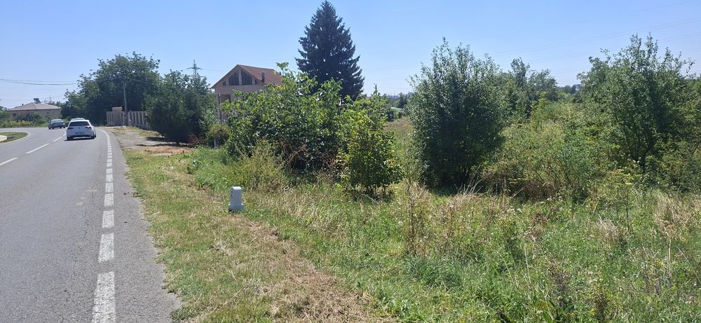 Teren de vanzare in Valea Voievozilor