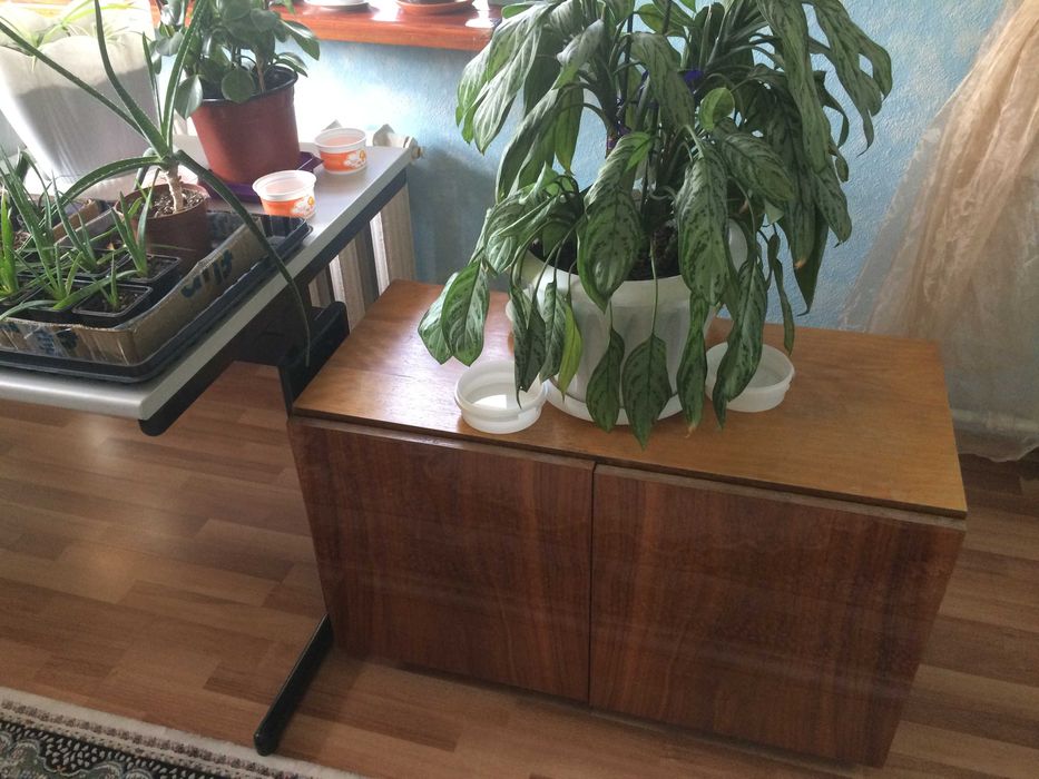 столик  стеклянный  под телевизор