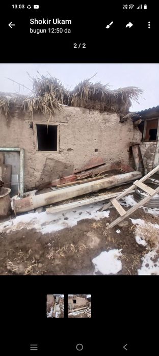 Begovot sobgʻoʻz da bu