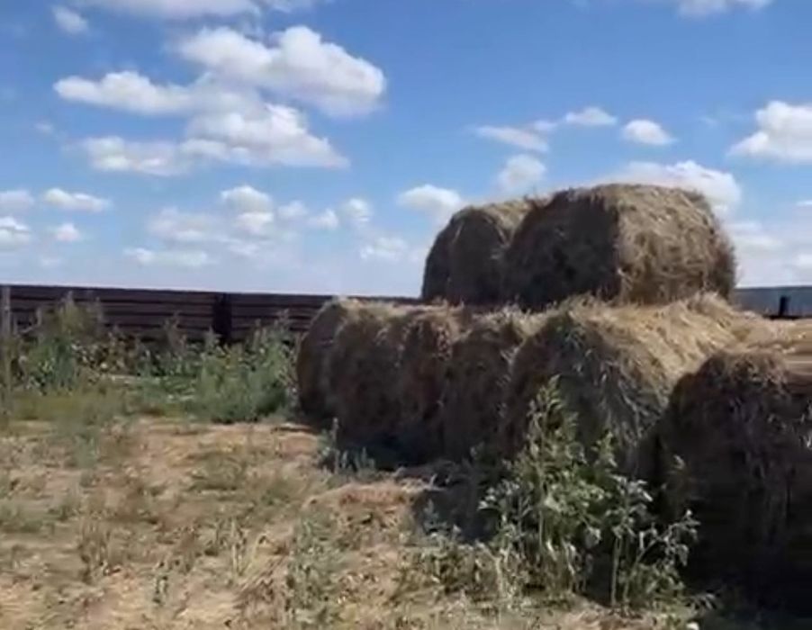 Сено рулоны разнотравье 10000 самовывоз