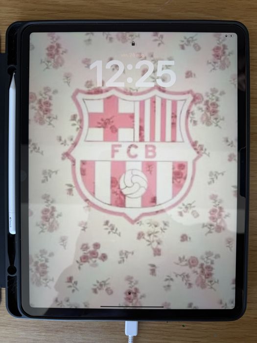 Apple Ipad 13 m3 Wi-Fi, Sim + Apple Pencil