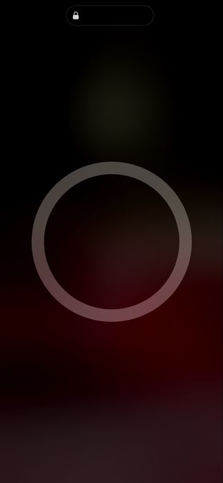 Huse originale Iphone 14 Pro max