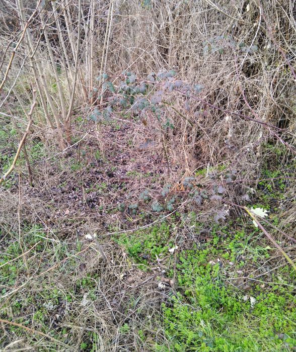 Продава се Къща в Бобошево - 200 кв.м за 85 €/кв.м - Снимка #4