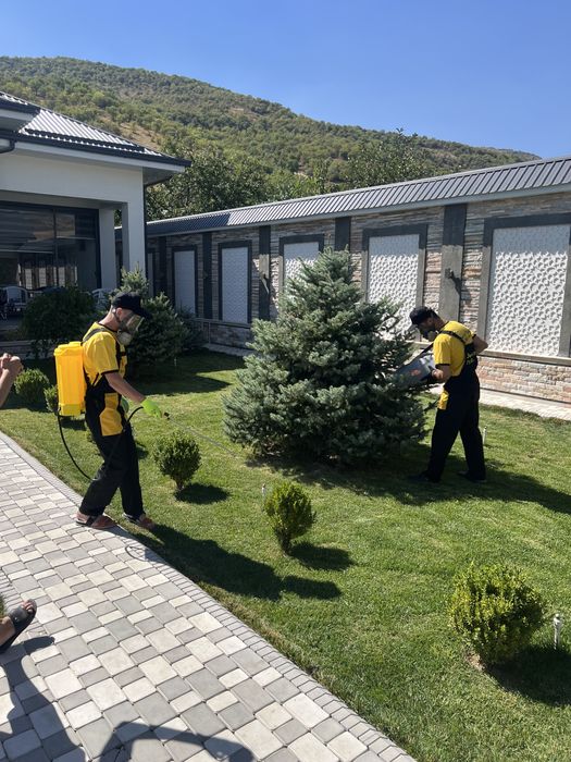 dezinfeksiya v tashkente дезинфекция уничтожение клопов тараканов