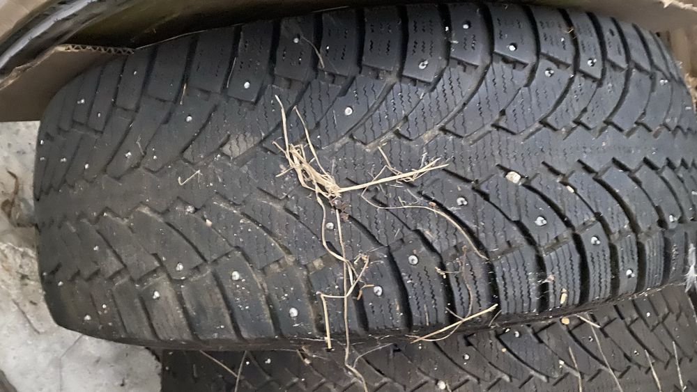 Шины зимные шиповка