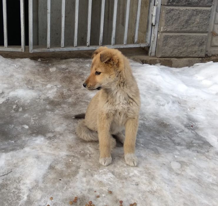 Мальчик и девочка сторожа