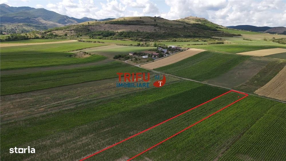 Teren de vanzare Ighiu 1500mp