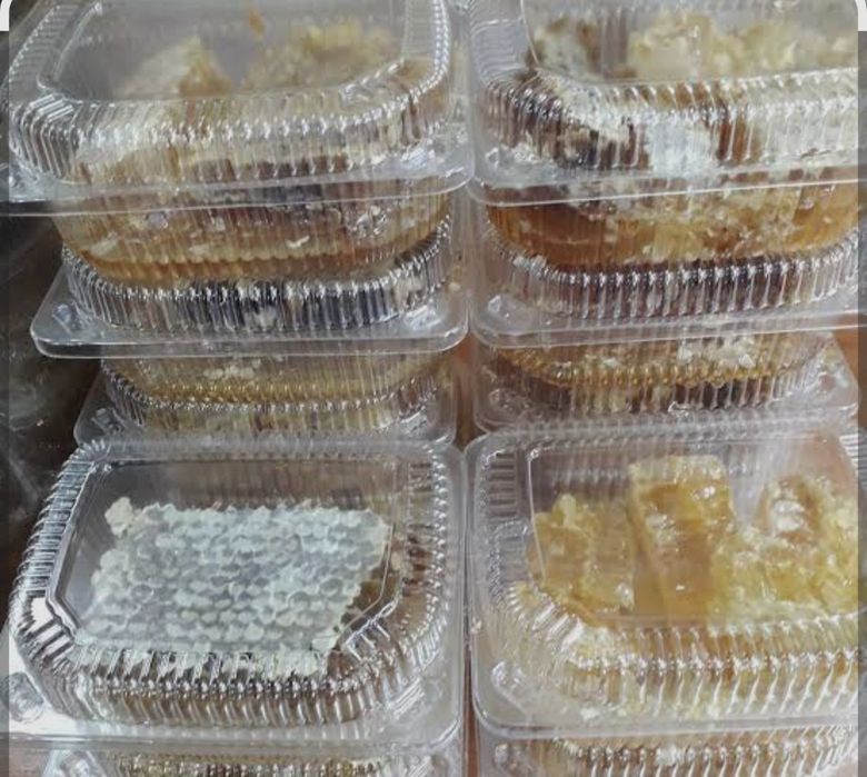 Бал  ұядағы Omarta_Shieli