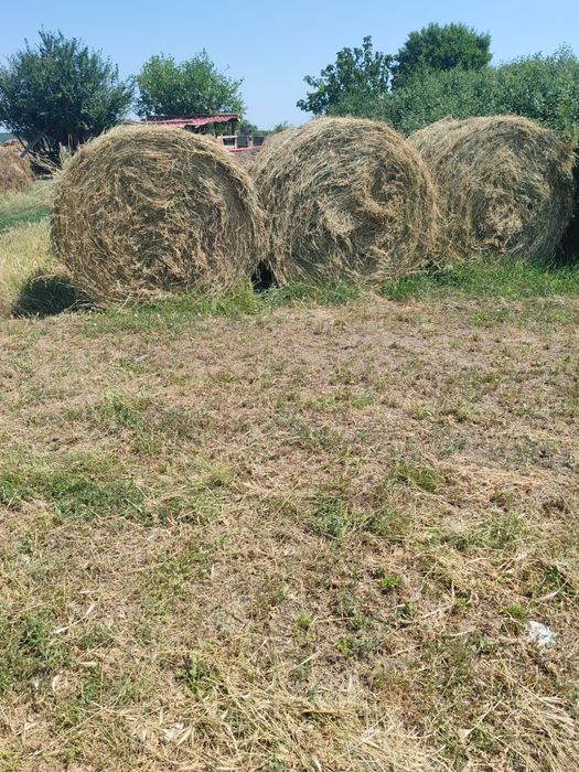 Vând baloți de lucernă coasa 3 și 4