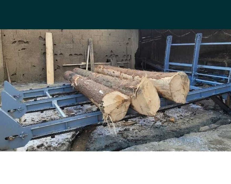 Rampa de busteni motorizata