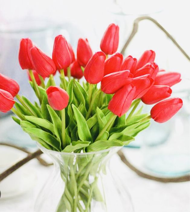 Реалистичные цветки тюльпана