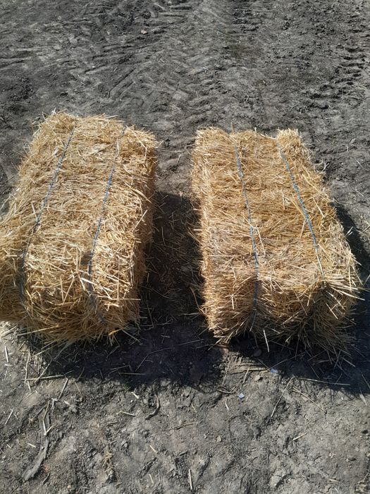 Baloți paie de grau