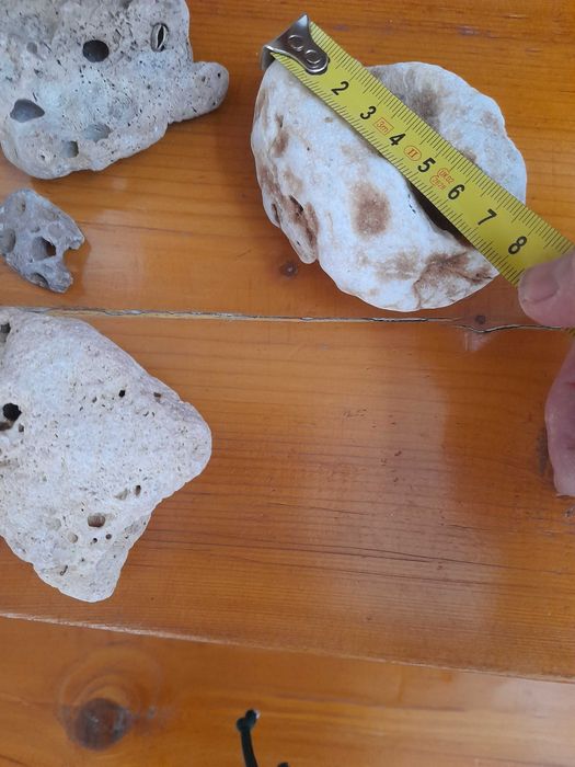 pietre si scoici pentru decoratiuni și acvariu