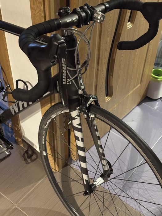 Cursiera carbon marimea L 54 cm