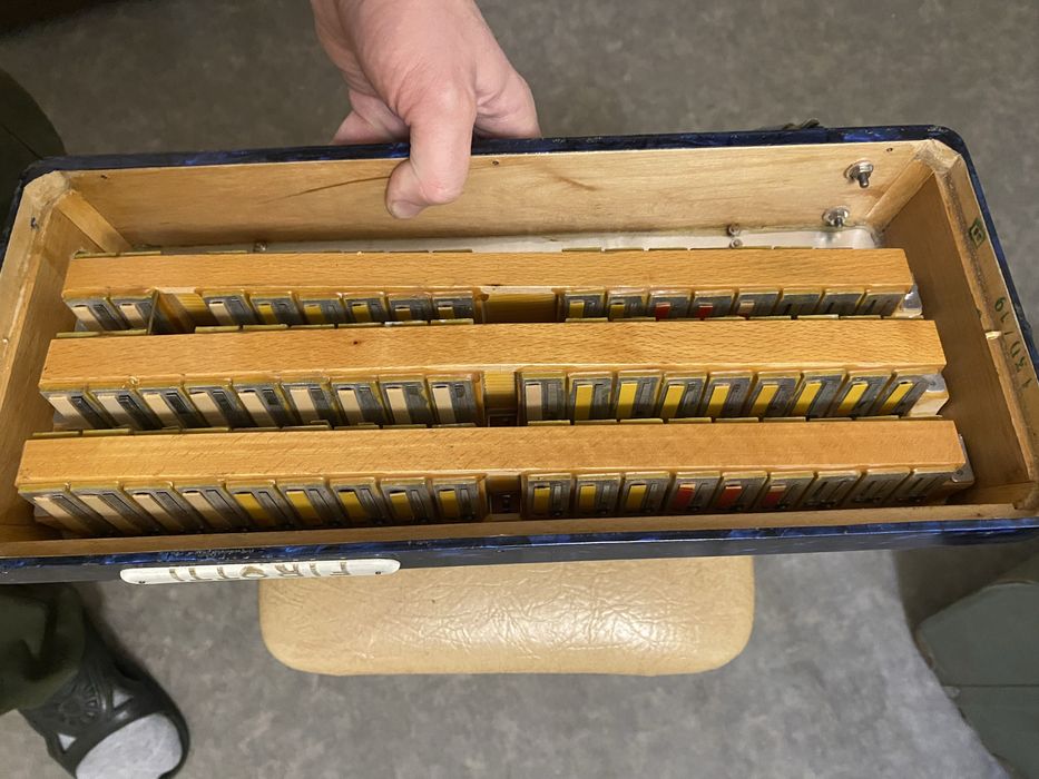 Аккардион немецкий