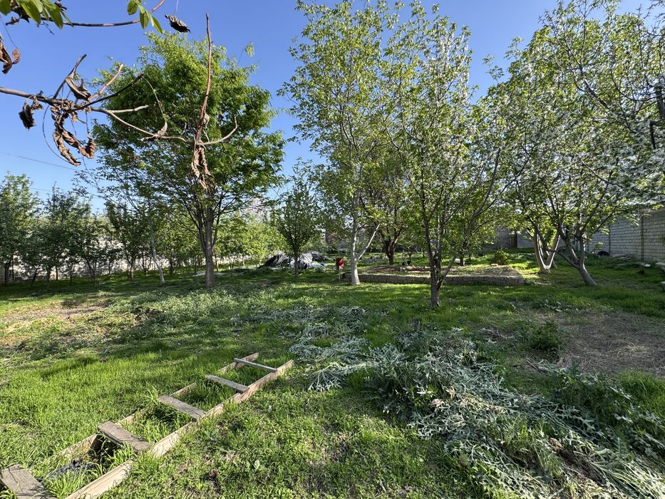 Nazarbek turkiston hovli yer sotiladi