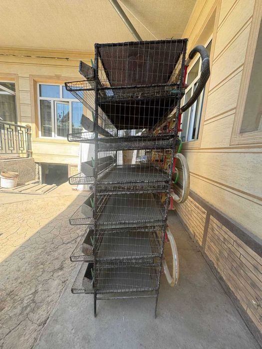 Bedana in qafas sotiladi (tayyor biznes)