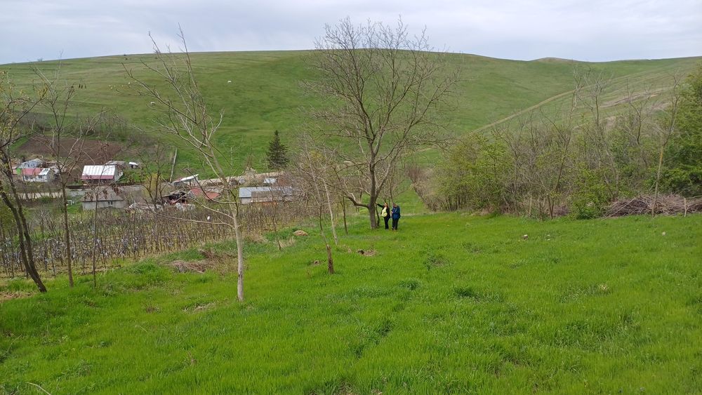 Casa cu teren 1 hectar în sat Roșcani, la 40 km de Iași.