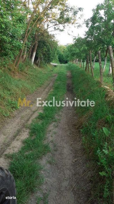 Teren extravilan Pitesti - str. Balotesi!!