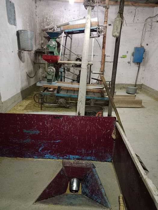 Sholi tegirmon ishlab turgan