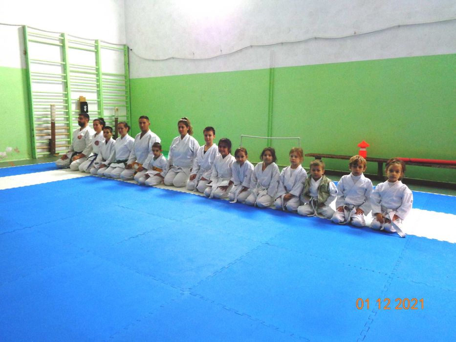 Тренировки Шотокан карате-до