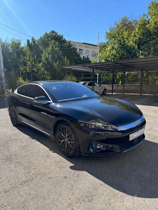 Byd han 3,9 2022