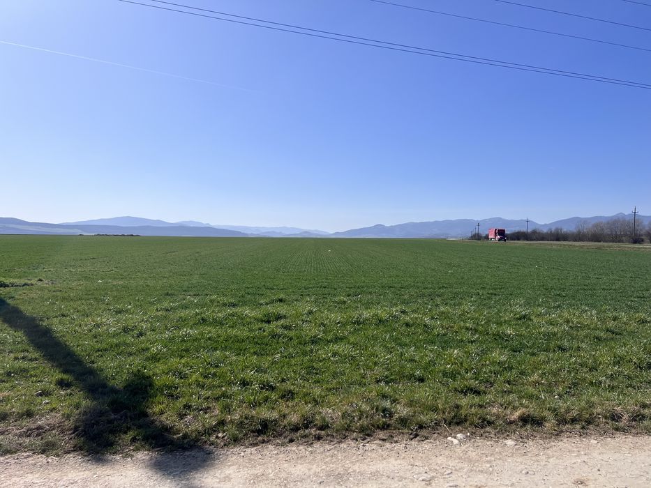 Teren Extravilan 2900mp