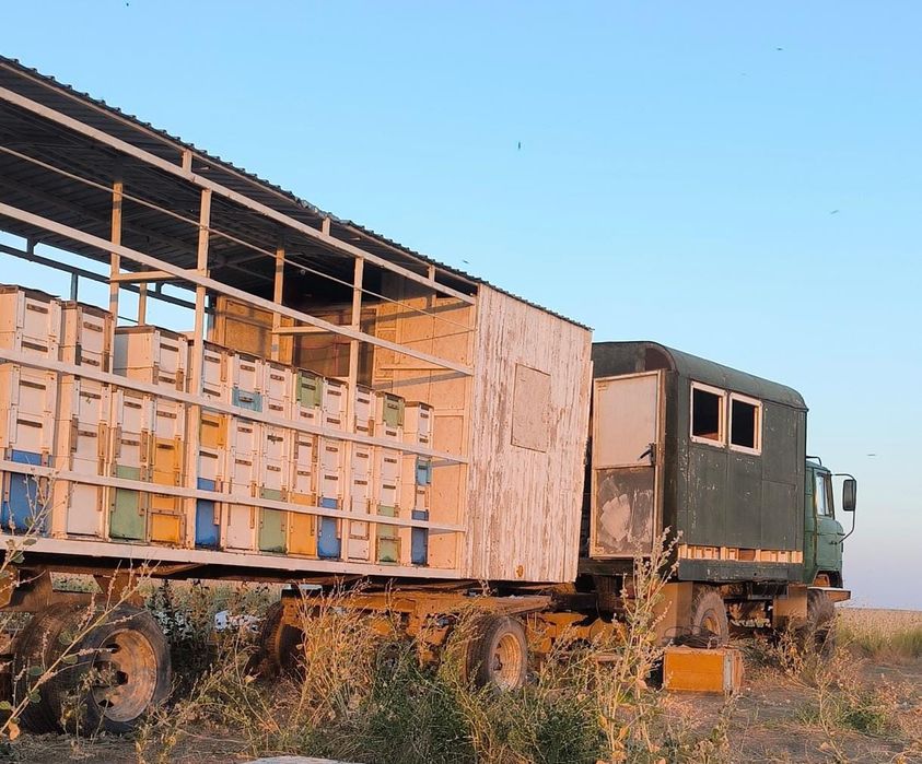 Пасика с пчелами и газ 66