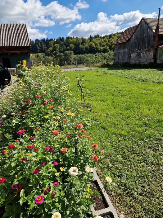 Casa (MOBILATA SI UTILATA) Vama Buzăului
