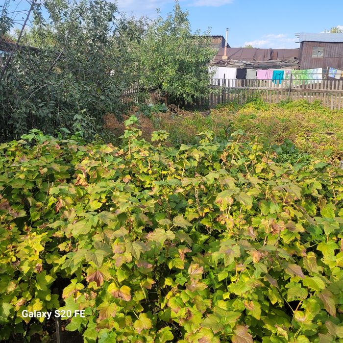 Продаётся особняк