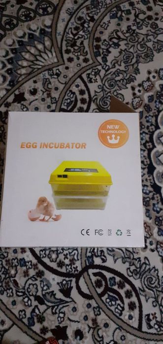 Inkubatorning zoʻri