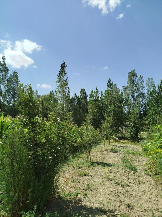 Uchaskai vremenkasi va boği bilan