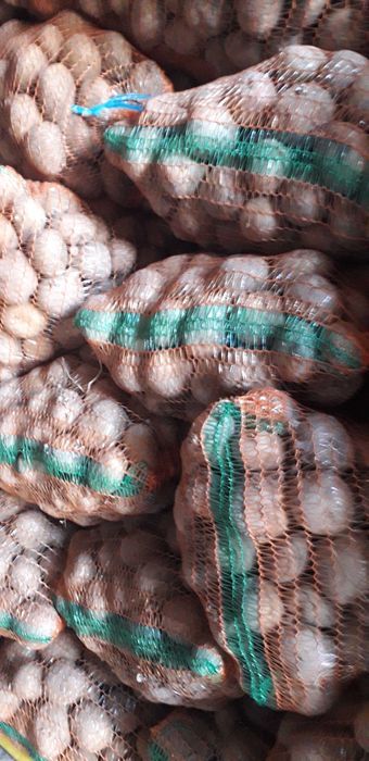 Vând cartofi de mâncat!