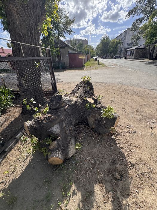 Дрова.