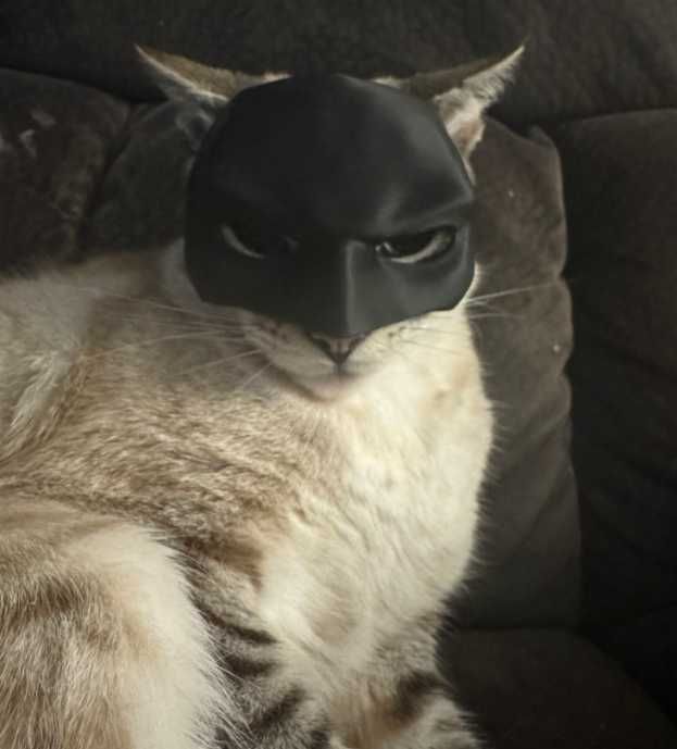 Masca Batman Pisica