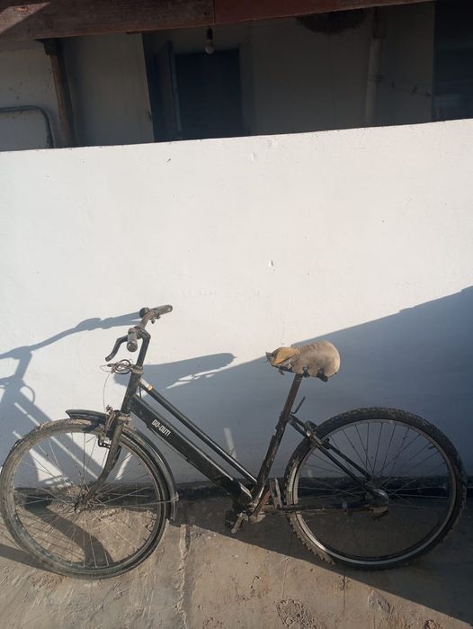 Фелик обмен или продам