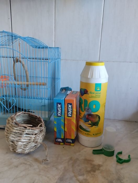 продается попугай с клеткой