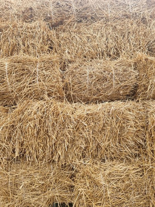 Бали слама (малки)