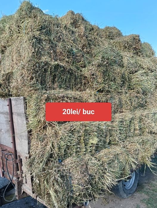 Baloți mici de lucernă