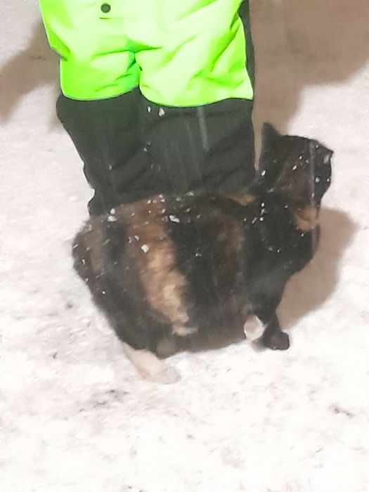 Пожалуйста срочно помогите