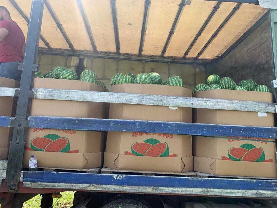 КАШОНИ ЗА ДИНИ ОТ ПРОИЗВОДИТЕЛ от 350 до 700 кг RONDOCARTON SRL