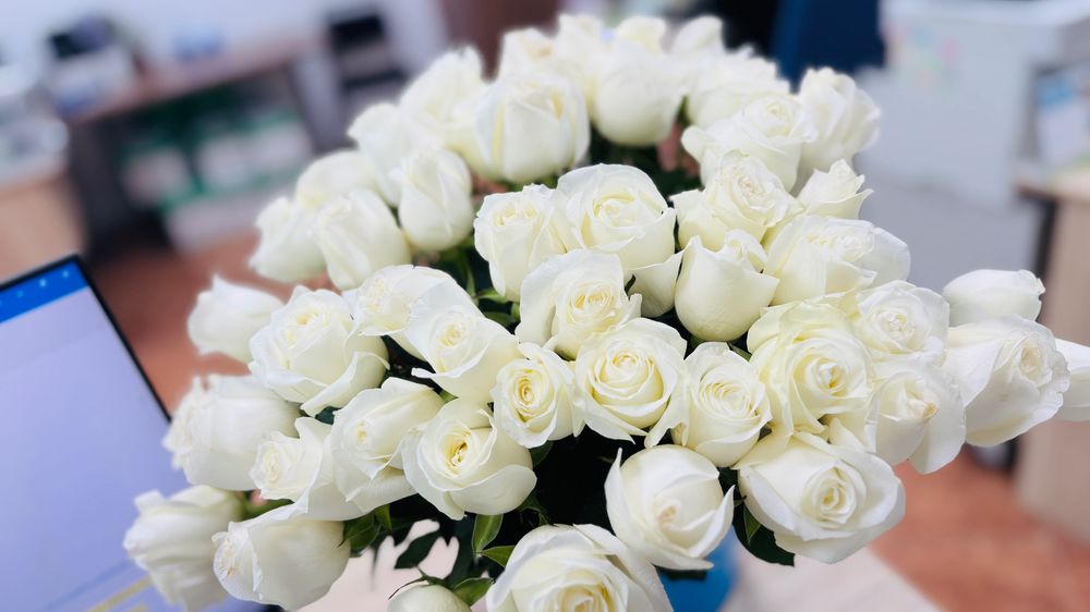 Букет белых роз 51шт