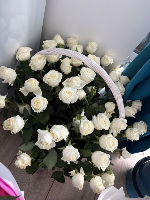 Роза голландский