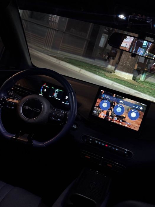 Byd seagull flying 100% тозза