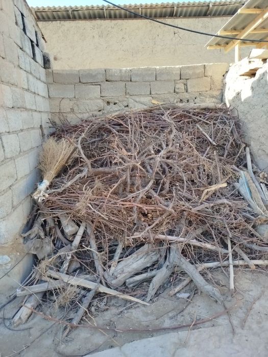 O'tin sotiladi, tayyor maydalangan