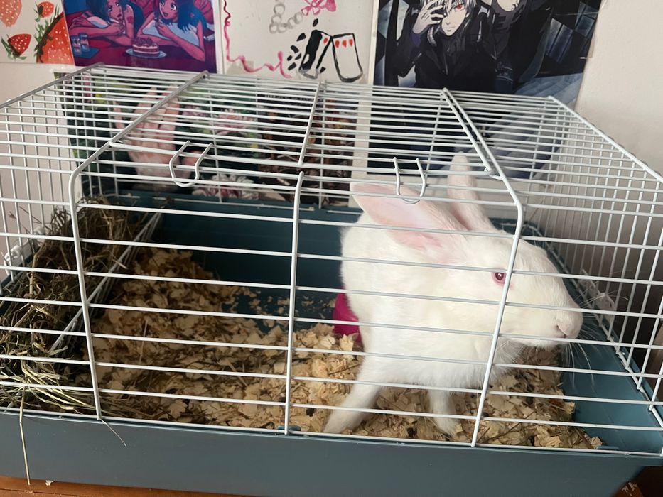 Продам клетку для кролика