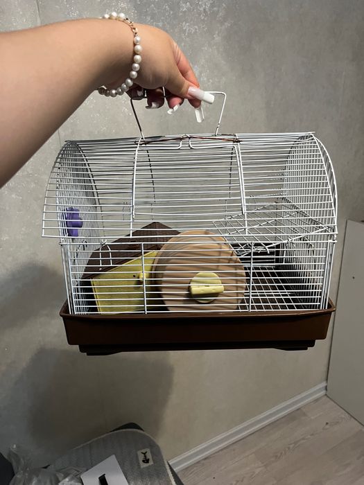 Клетка для хомяка