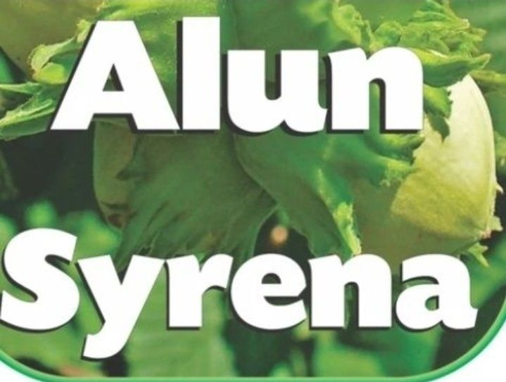 Alun (Soiul Syrena )