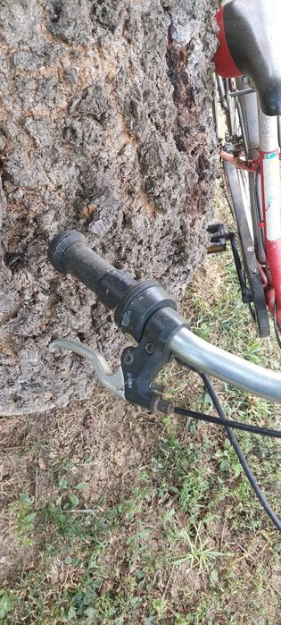 Две колелета 24 цола.